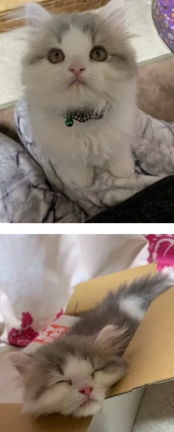 千葉県K様 毬太朗くん