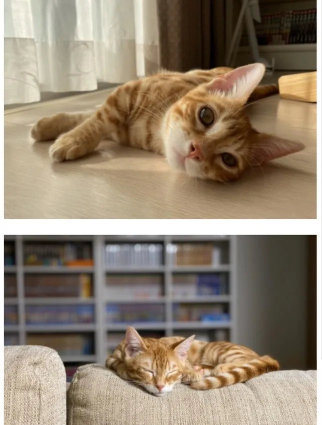 埼玉県S様 ソルトくん